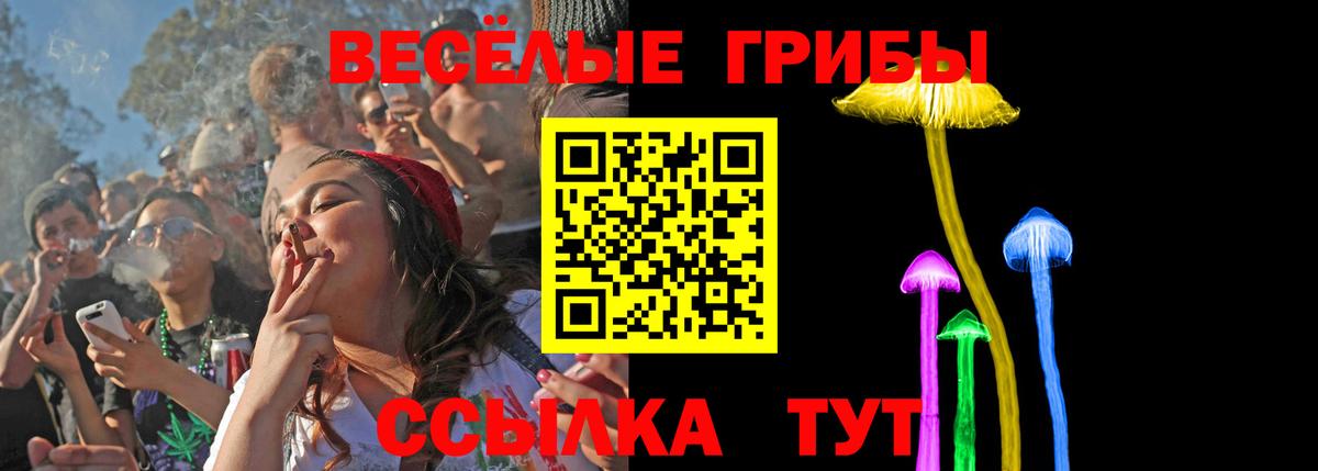 Галлюциногенные грибы мицелий Ногинск