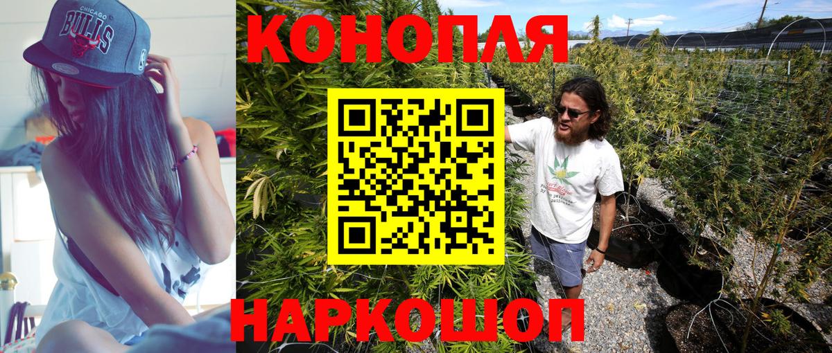 Ногинск  Марихуана тримм  Бошки марихуана LSD WEED  Марихуана THC 21%  МАРИХУАНА сатива  Вход с VPN 